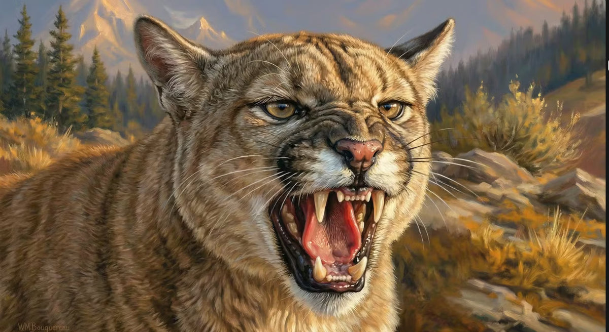 Fury Unleashed